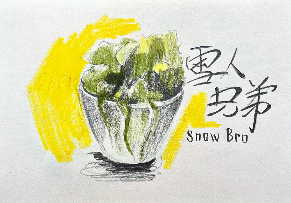 snow-bro