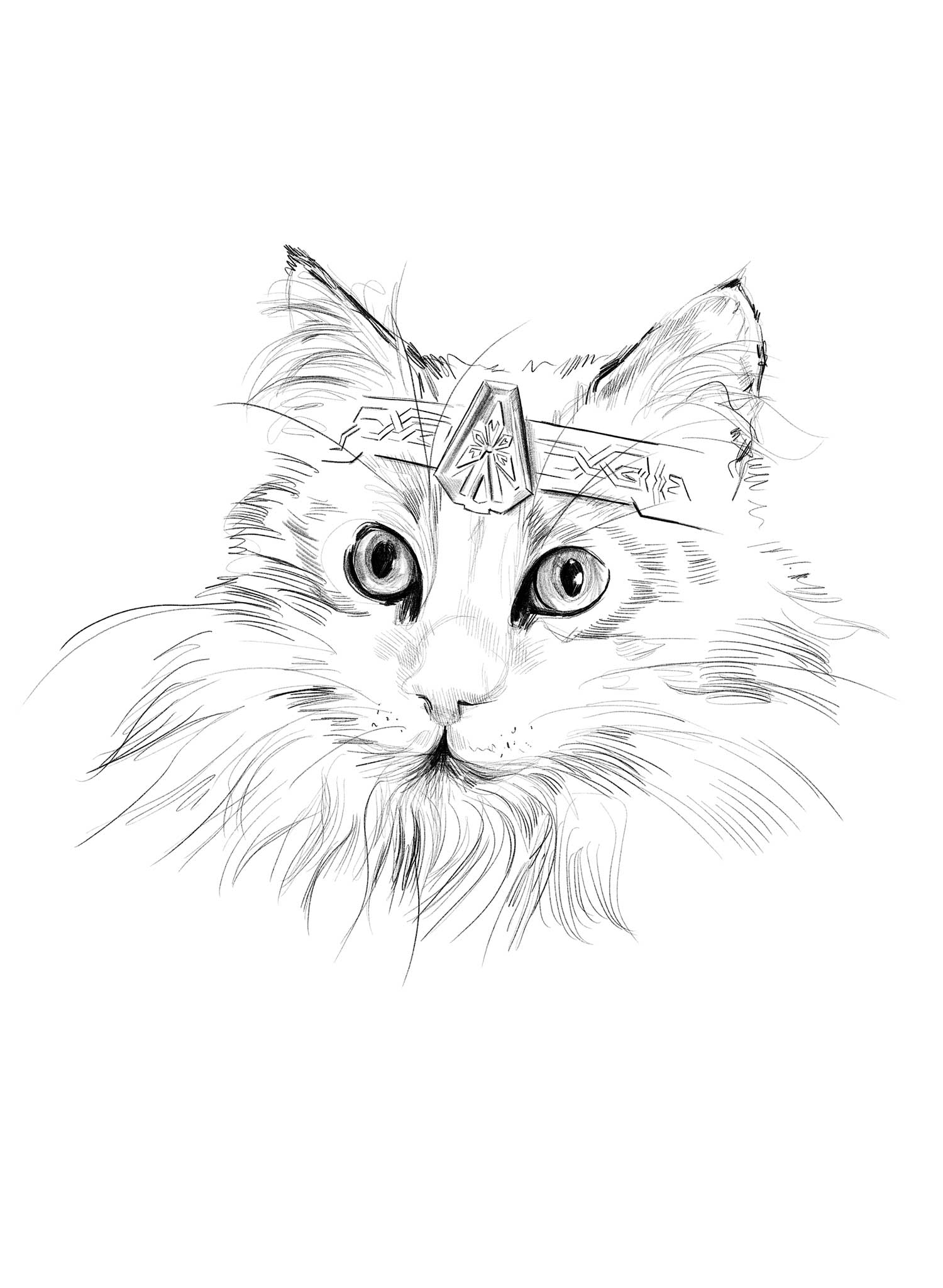 Gimli