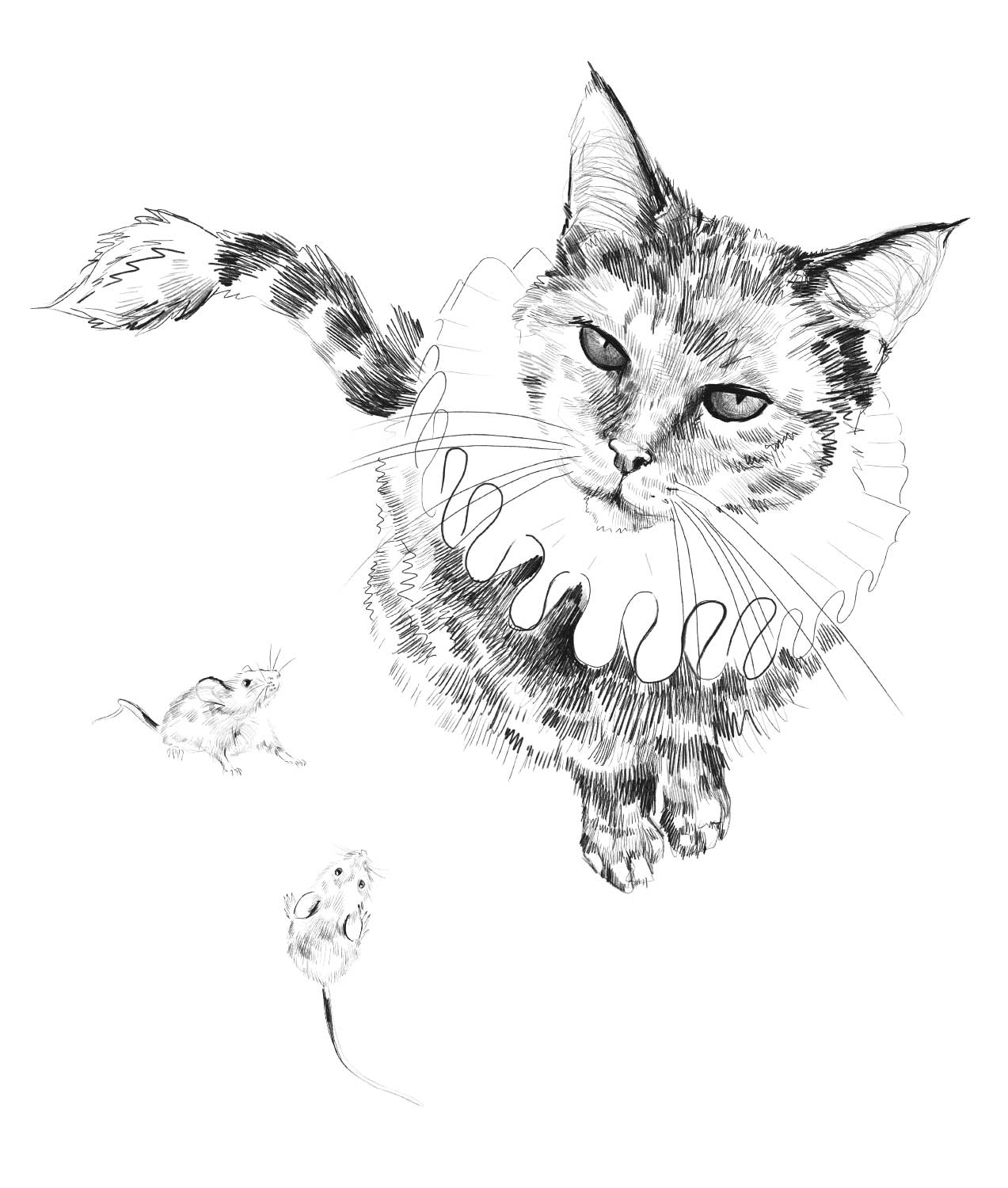 Preppy Pets